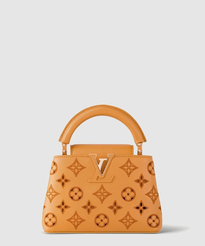 Louis Vuitton Capucines mini M22863