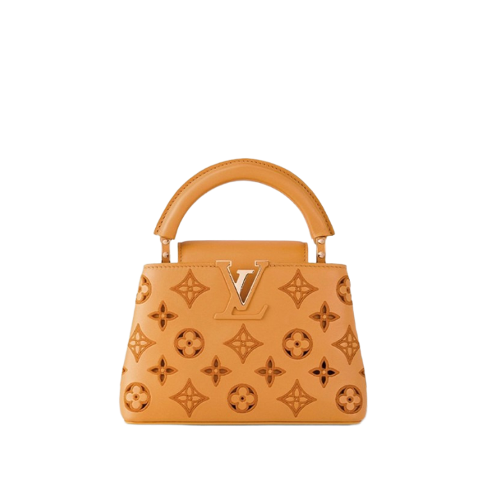 Louis Vuitton Capucines mini M22863