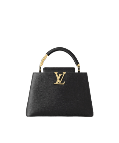 Louis Vuitton Capucines BB M24698